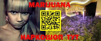 ALPHA PVP Новозыбков