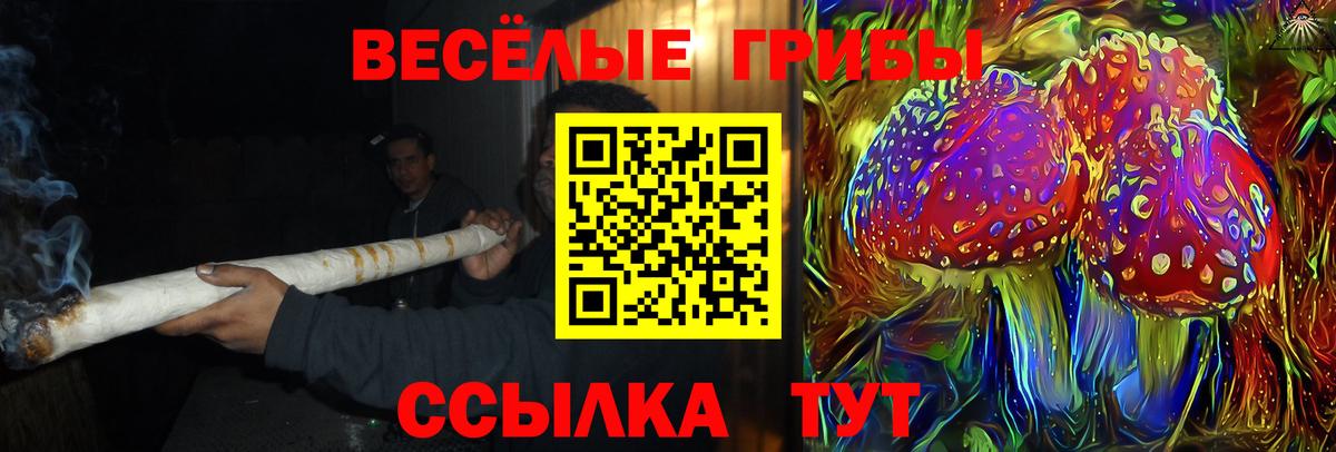 Псилоцибиновые грибы GOLDEN TEACHER Новый Уренгой